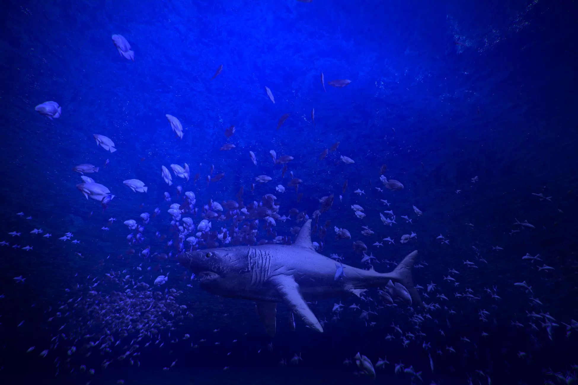 Simple Boids (Flocks of Birds, Fish and Insects)